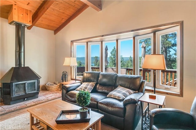 living room featuring lofted ceiling with beams, a wood stove, wood finished floors, and wooden ceiling