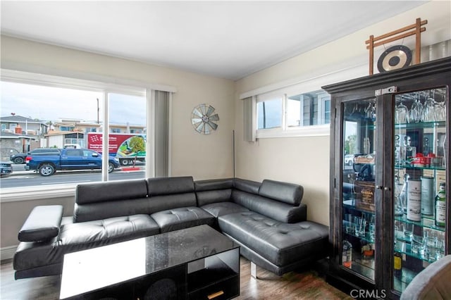 living area with wood finished floors