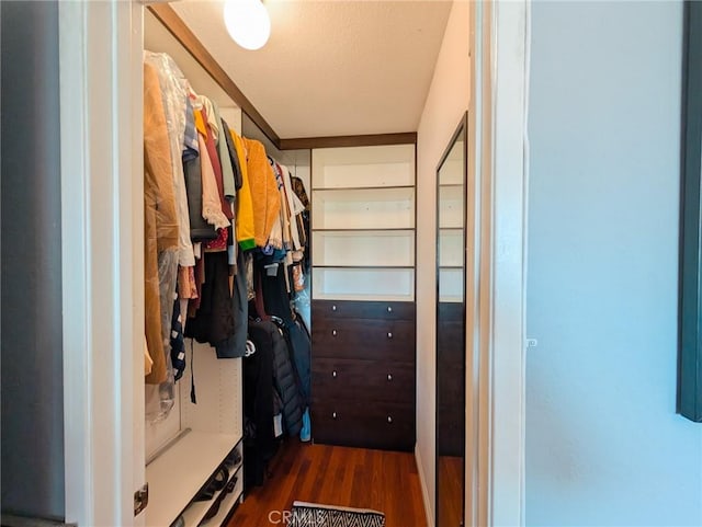 walk in closet featuring wood finished floors