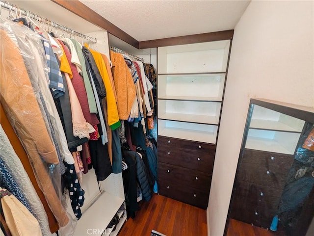 spacious closet featuring wood finished floors