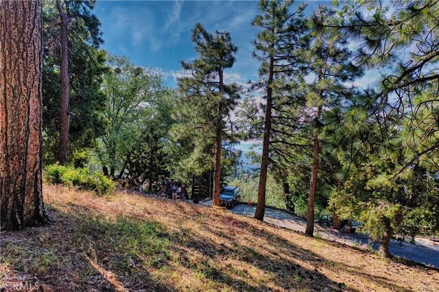 246LOT Ferndale Dr, Running Springs, CA 92382