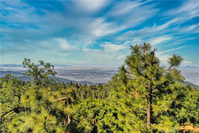 246LOT Ferndale Dr, Running Springs, CA 92382