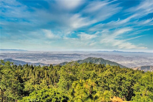 246LOT Ferndale Dr, Running Springs, CA 92382