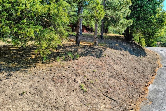246LOT Ferndale Dr, Running Springs, CA 92382