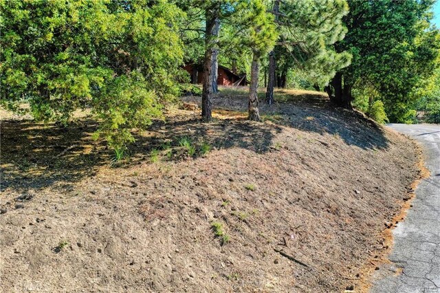 246LOT Ferndale Dr, Running Springs, CA 92382
