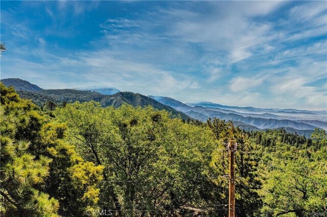 246LOT Ferndale Dr, Running Springs, CA 92382