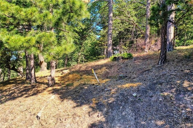246LOT Ferndale Dr, Running Springs, CA 92382