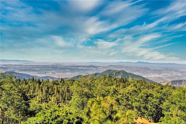 246LOT Ferndale Dr, Running Springs, CA 92382