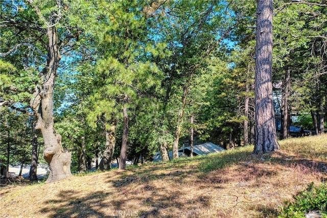 246LOT Ferndale Dr, Running Springs, CA 92382