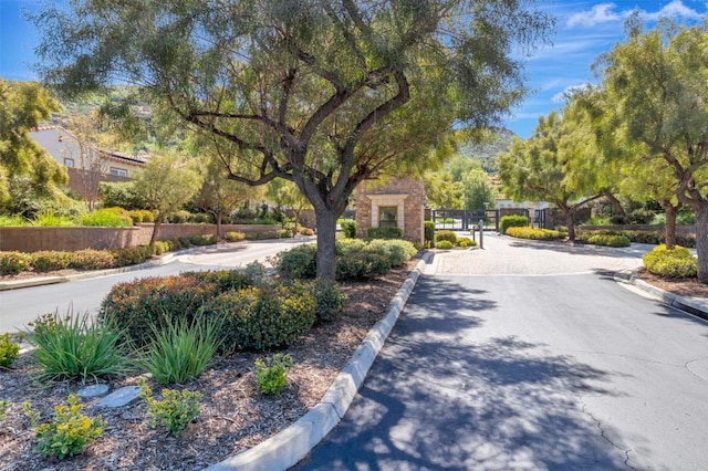 view of street with a gated entry, curbs, and a gate