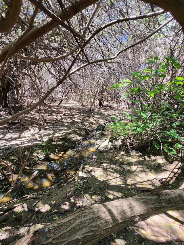 view of nature