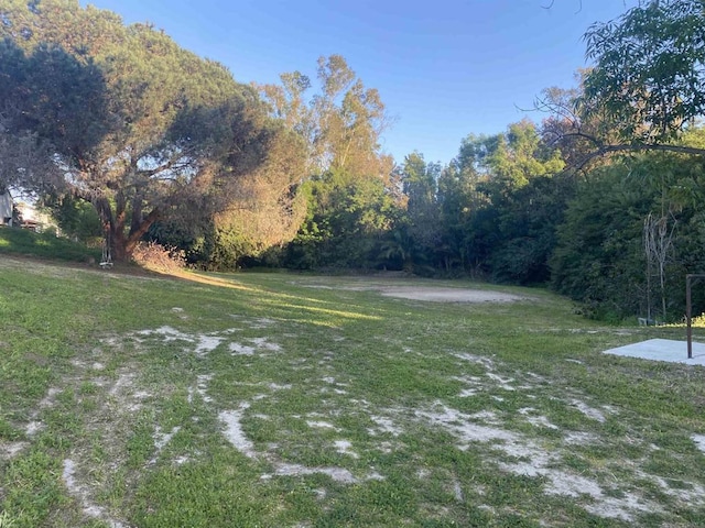 view of yard featuring a wooded view