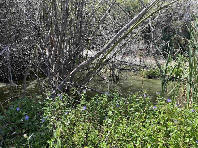 554 Taylor St, Vista, CA 92084 - view of undeveloped land
