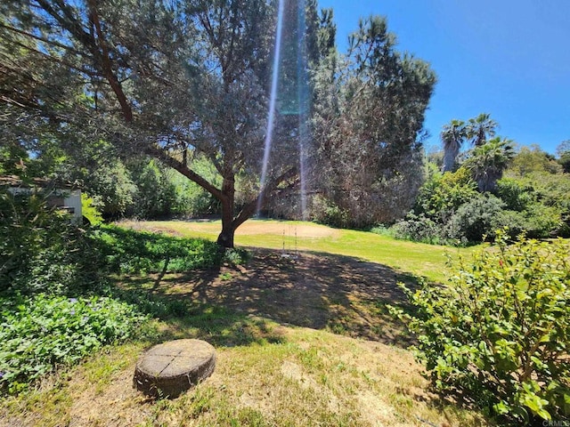 554 Taylor St, Vista, CA 92084 - view of green lawn