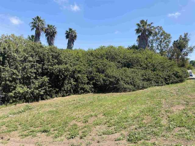 554 Taylor St, Vista, CA 92084 - view of yard