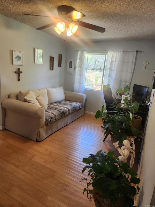 554 Taylor St, Vista, CA 92084 - living room with a ceiling fan, light wood finished floors, and a textured ceiling
