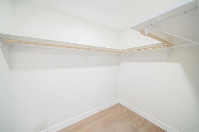 walk in closet featuring light wood-style flooring