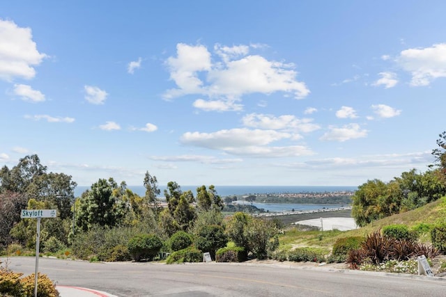 property view of water