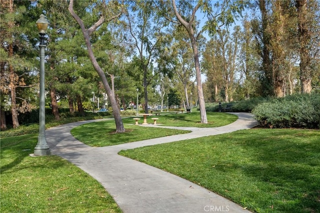 surrounding community featuring a yard