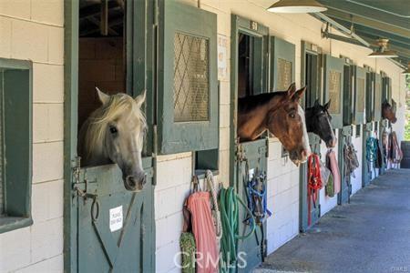 2019 Via Mariposa W Unit G, Laguna Woods, CA 92637 - view of horse barn