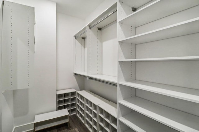 walk in closet featuring dark wood-type flooring
