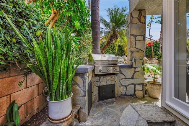 view of patio featuring area for grilling and an outdoor kitchen