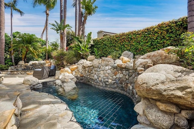 view of pool featuring a patio