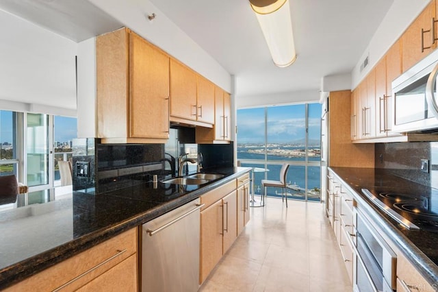 kitchen featuring decorative backsplash, a healthy amount of sunlight, stainless steel appliances, and a sink