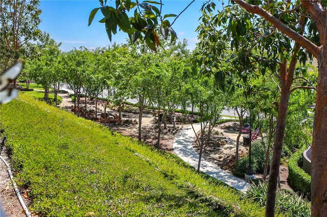 7 Alienta Ln, Rancho Mission Viejo, CA 92694 - view of water feature