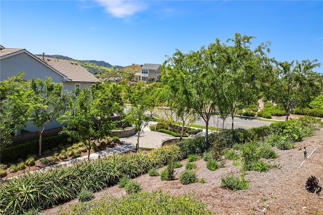 7 Alienta Ln, Rancho Mission Viejo, CA 92694 - view of community