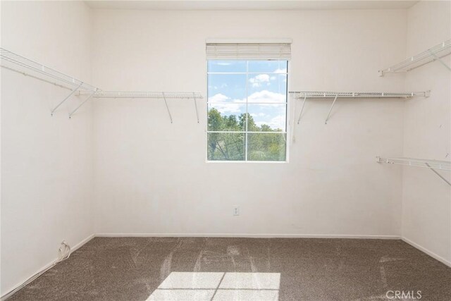 32460 Perigord Rd, Winchester, CA 92596 - walk in closet with carpet floors