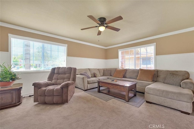 living area featuring a healthy amount of sunlight, ceiling fan, ornamental molding, and carpet floors