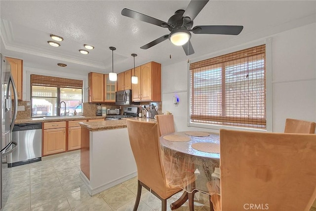 kitchen with ceiling fan, a tray ceiling, tasteful backsplash, appliances with stainless steel finishes, and a sink