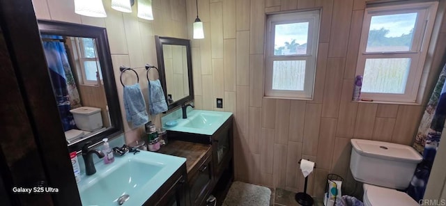 full bathroom with a wealth of natural light, vanity, and toilet