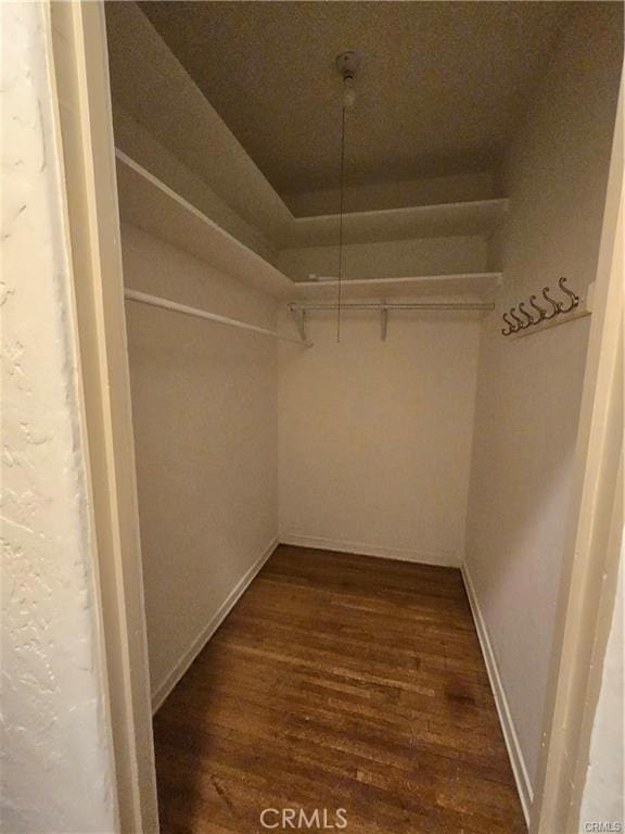 spacious closet featuring dark wood-type flooring