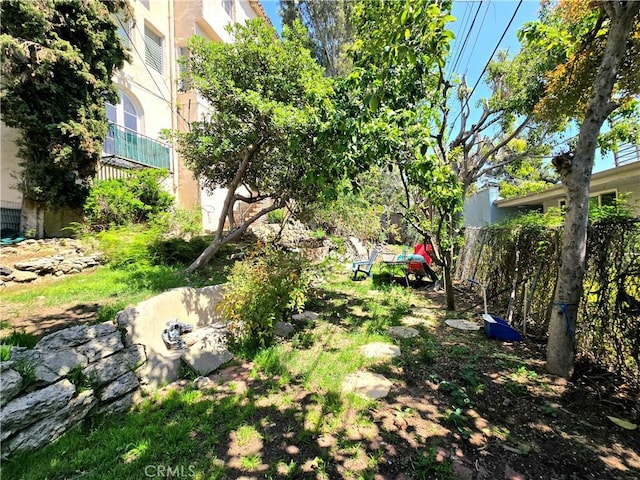 view of yard