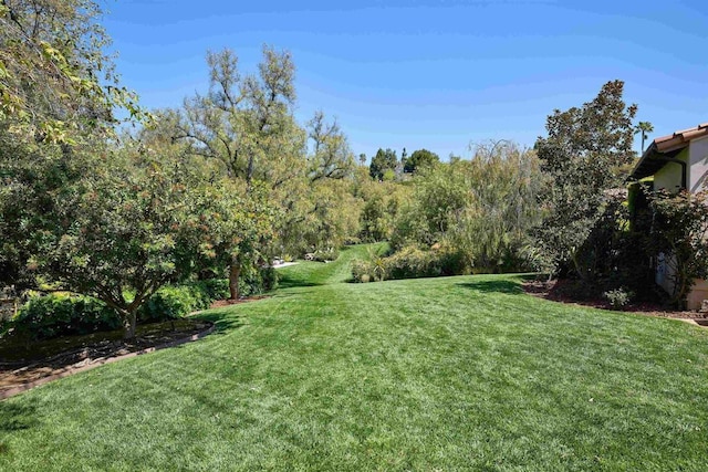 18320 Colina Fuerte, Rancho Santa Fe, CA 92067 - view of green lawn