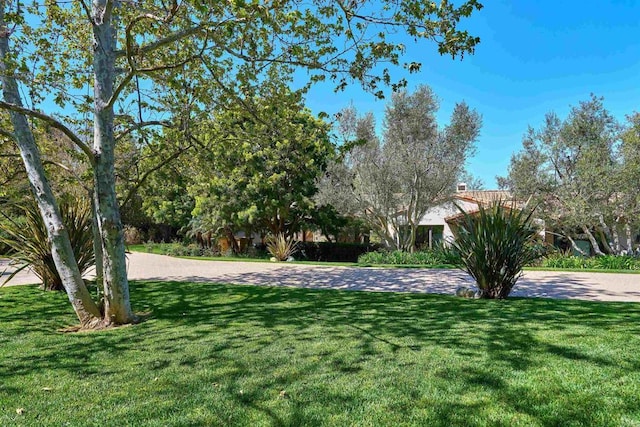 18320 Colina Fuerte, Rancho Santa Fe, CA 92067 - view of green lawn