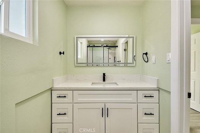 bathroom with a shower stall and vanity
