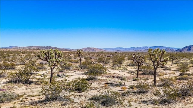 57645 Reche Rd, Landers, CA 92285