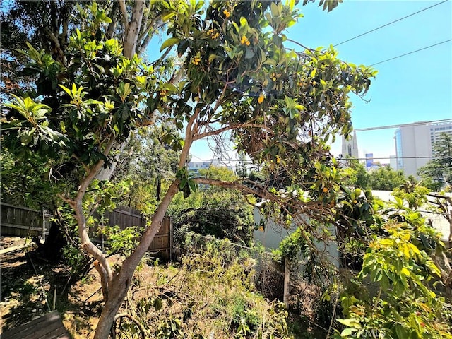 1958 Glencoe Way, Los Angeles, CA 90068 - view of nature