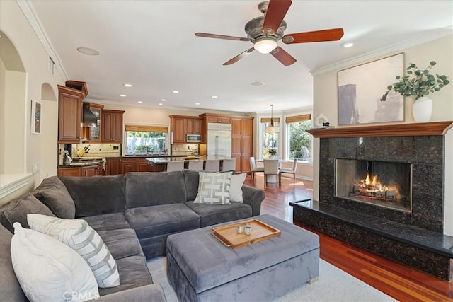 4 Bastia, Laguna Niguel, CA 92677 - living area featuring crown molding, a ceiling fan, a high end fireplace, and wood finished floors