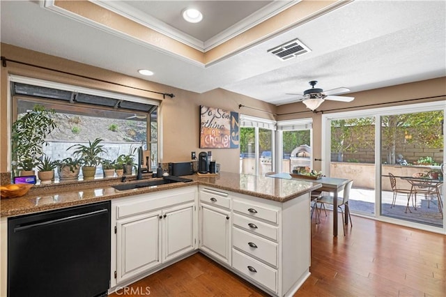 22004 Pamplico Dr, Saugus, CA 91350 - kitchen with a tray ceiling, a ceiling fan, visible vents, black dishwasher, and a sink