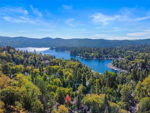 27613 Alpen Dr, Lake Arrowhead, CA 92352 - photo 1