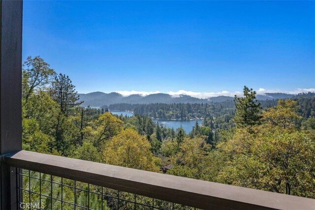 27613 Alpen Dr, Lake Arrowhead, CA 92352 - photo 50