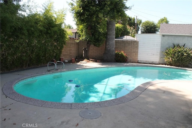 427 S Mariposa St, Burbank, CA 91506 - view of swimming pool