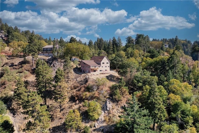 2745 Deer Creek Dr, Running Springs, CA 92382 - view of subject property featuring a forest