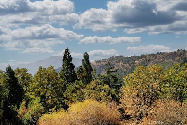 2745 Deer Creek Dr, Running Springs, CA 92382 - mountain view featuring a heavily wooded area
