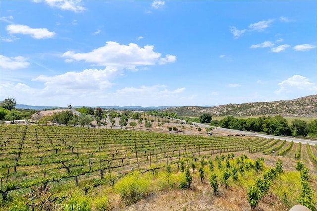 36615 E Benton Rd, Temecula, CA 92592 - photo 54
