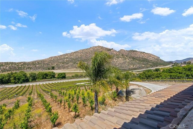 mountain view featuring a rural view